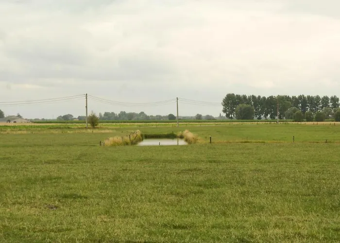 De Goudmijn