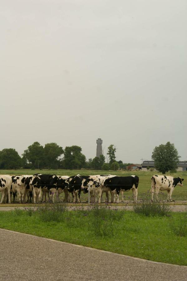 Holiday home De Goudmijn